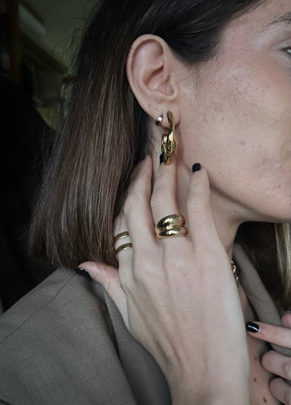 FLAWED EARRINGS